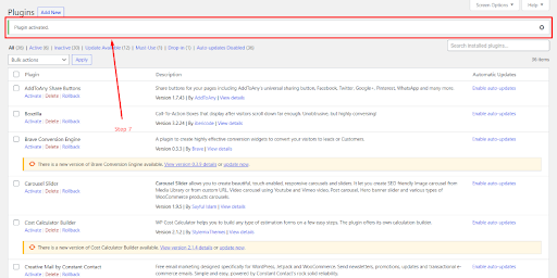Passo 7- Plugin WP Rollback WordPress