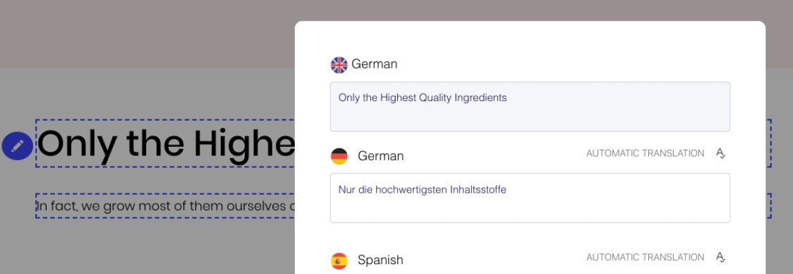 Weglot'un görsel düzenleyicisini kullanarak çevirileri gözden geçirme