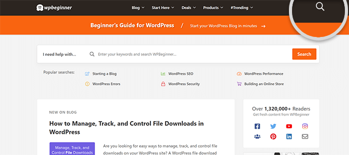 검색 WPB초보자 Search WPBeginner