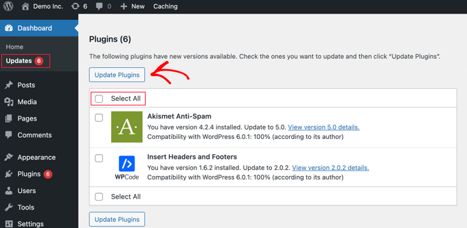 Aktualisieren von WordPress-Plugins von der Update-Seite Updating WordPress Plugins From the Updates Page
