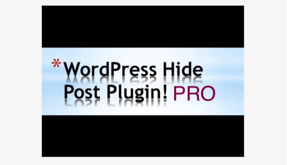 WP 숨기기 포스트 프로