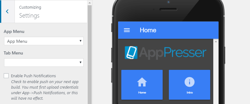 定制器的设置选项卡。