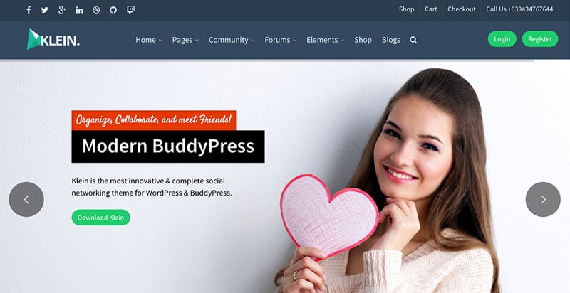 Klein BuddyPress-Thema