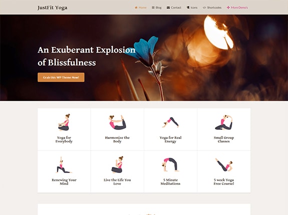 Tema WP ottimizzato per SEO JustFit