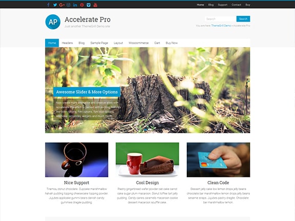 Accelera il tema WordPress Pro