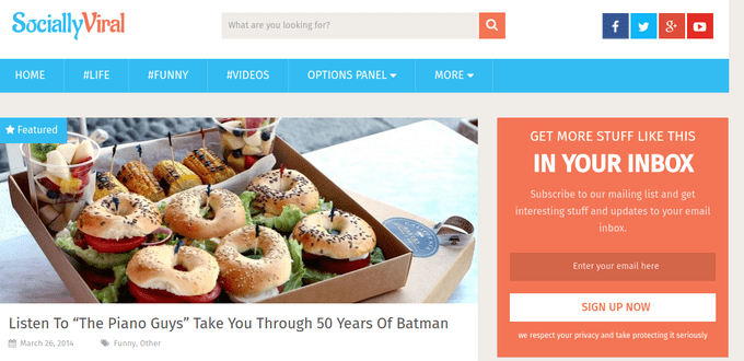 MyThemeShop の WP Subscribe Pro