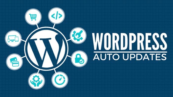 WordPress Auto Updates