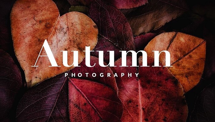 Jesienne ustawienia Lightroom