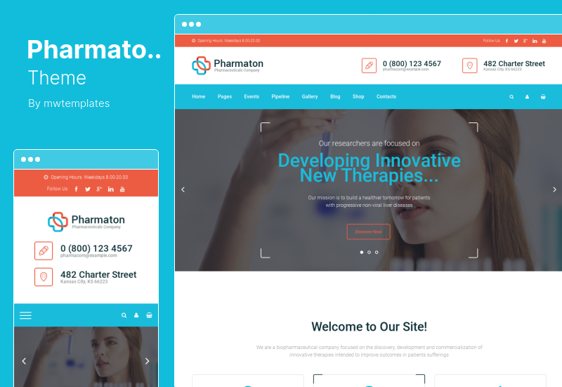 Pharmaton Theme - ธีม WordPress การแพทย์และร้านขายยา