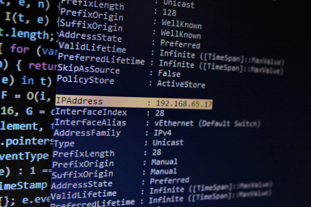 Indirizzo IP: termini e glossario di WordPress