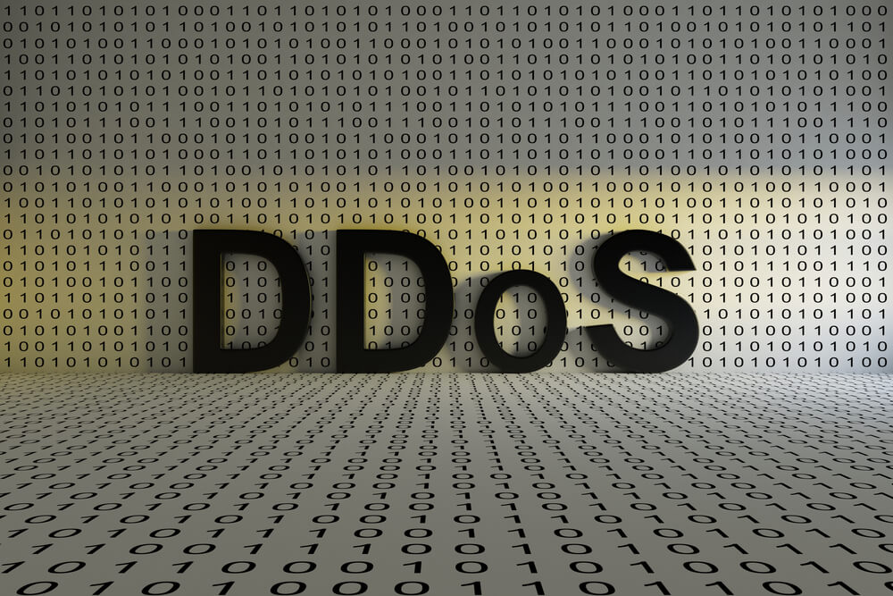 DDOS- Termini e glossario di WordPress