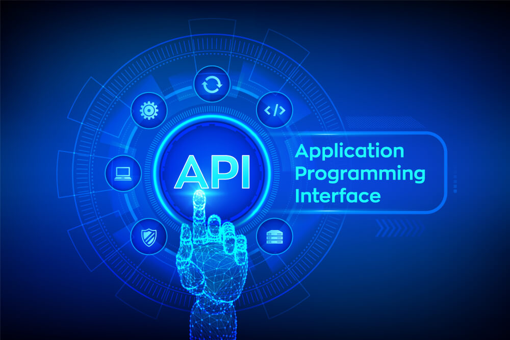 API- Termini e glossario di WordPress