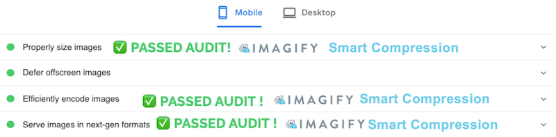 Auditoría aprobada con Imagify - Fuente: PageSpeed Insights