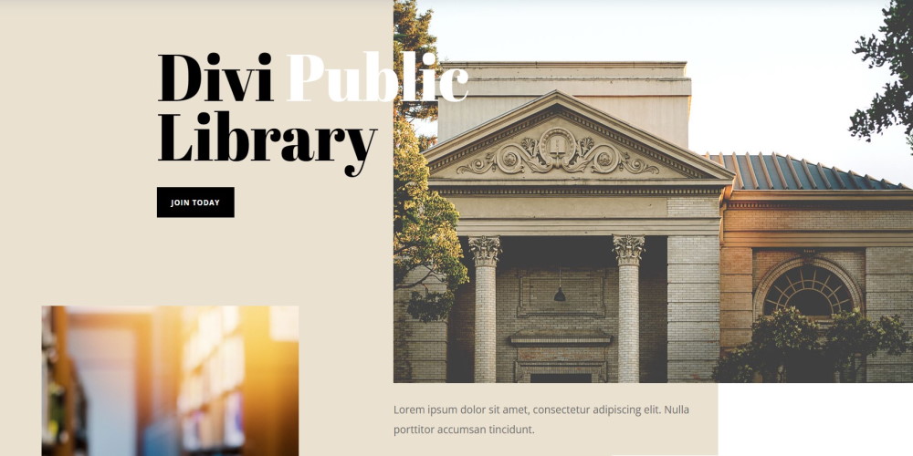 Divi temalı kitap mağazası düzeni