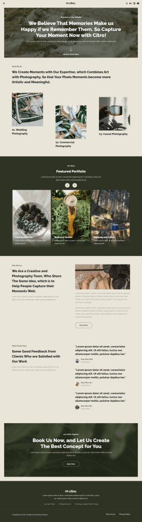 Webfulcreations: Como criar um site de fotografia no WordPress