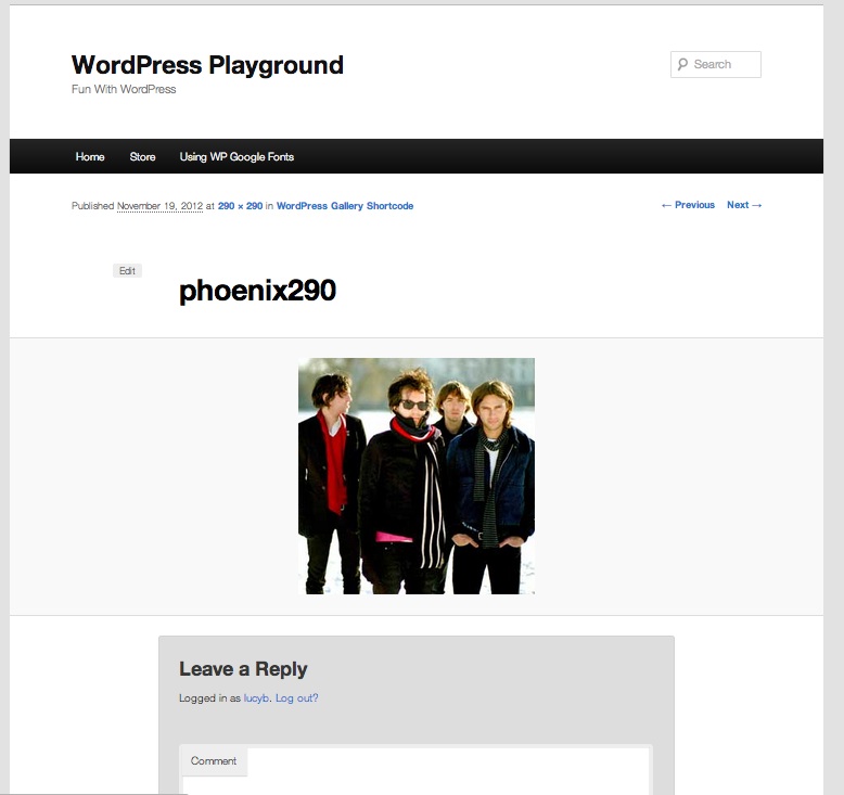 pda-wordpress-allegato-pagina-esempio