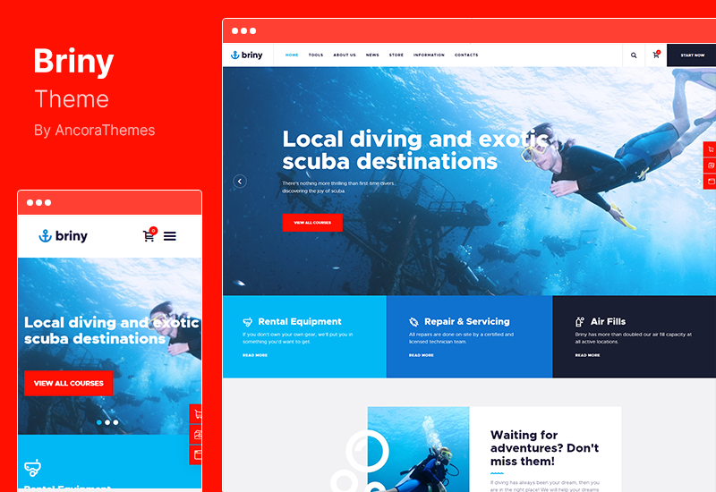 Briny Theme - 水肺潜水学校和水上运动 WordPress 主题
