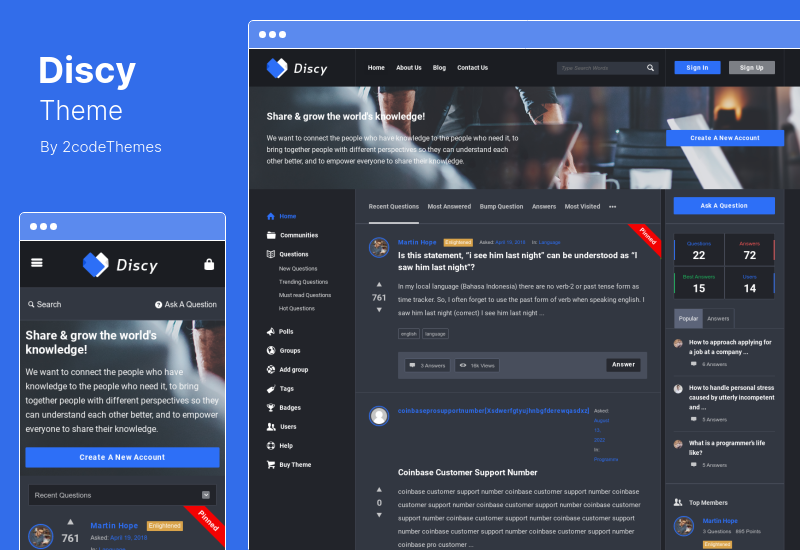Tema Discy - Tema WordPress pentru întrebări și răspunsuri sociale