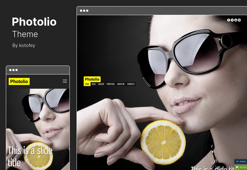 Photolio Theme - Tema WordPress Fotografi