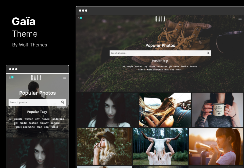 Gaia Theme - Fotografi dan Stok Gambar Tema WordPress