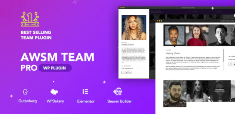 5+ Plugin Tim Terbaik untuk Situs WordPress 7 The Team Pro