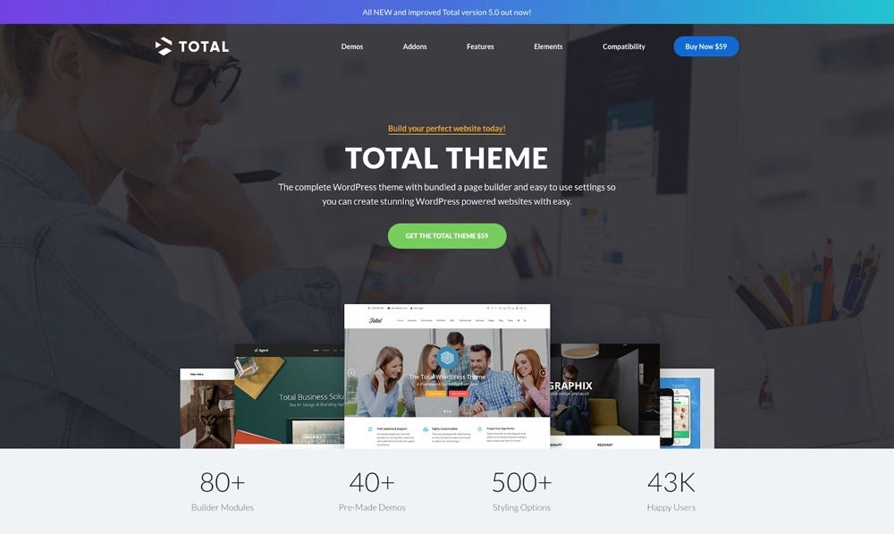 Total Halaman Arahan Tema WordPress