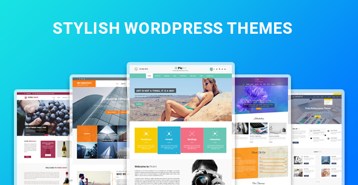 时尚的 WordPress 主题