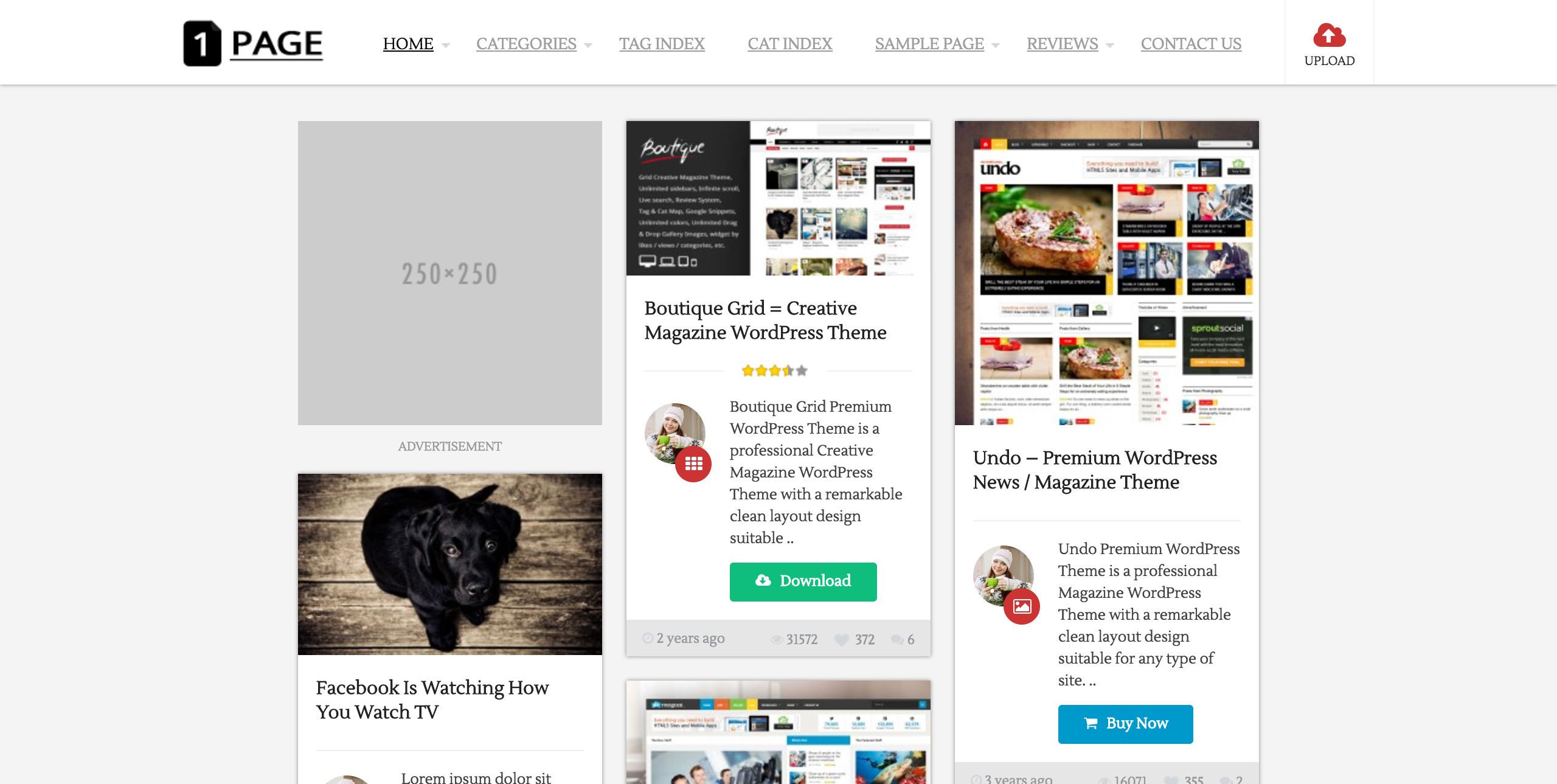 Captura de tela do tema 1Page