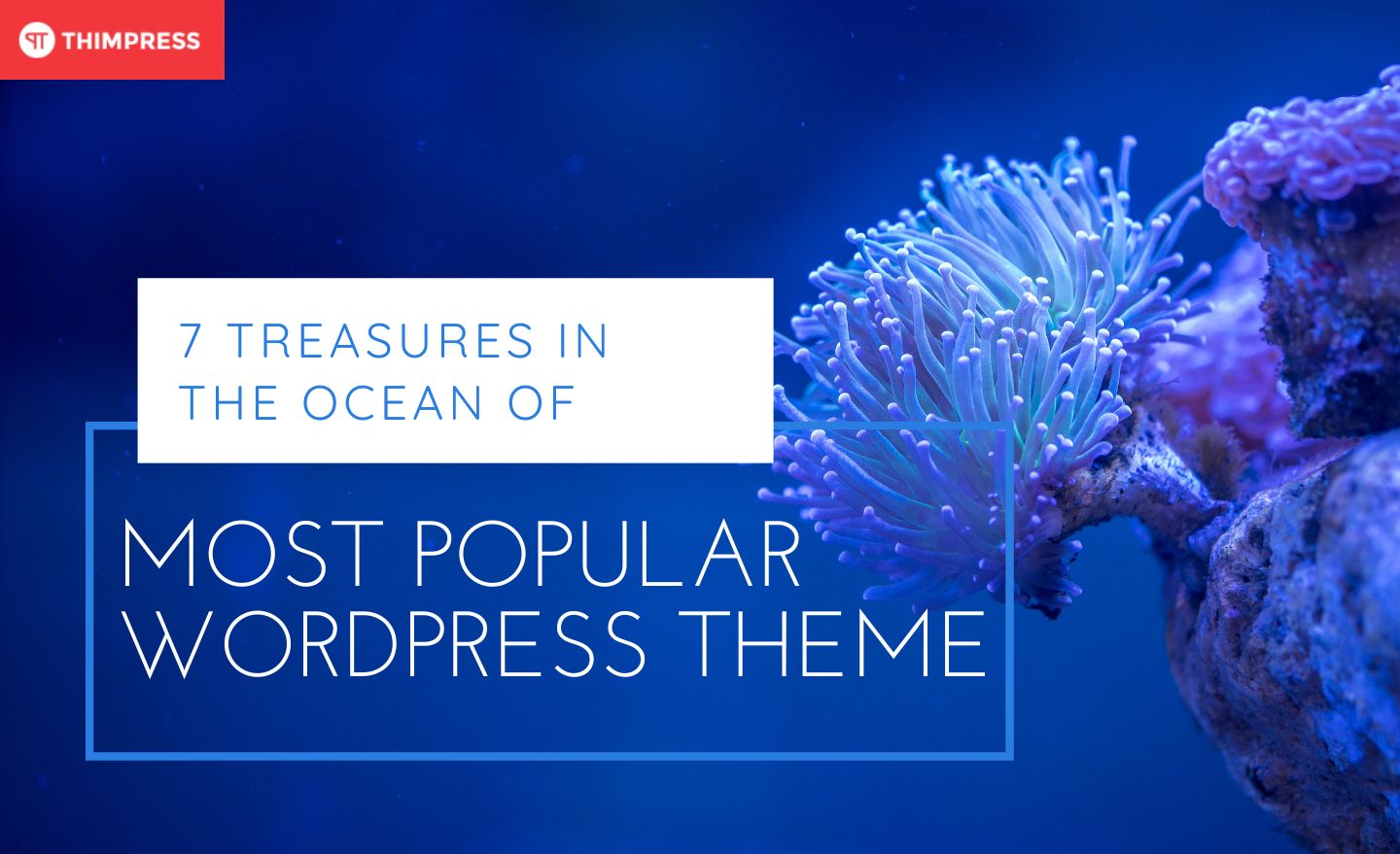 cea mai populară temă wordpress