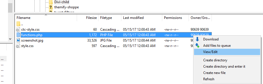 Editando o arquivo functions.php do seu tema filho.