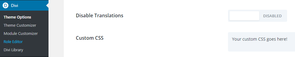 Opção CSS personalizada da Divi.