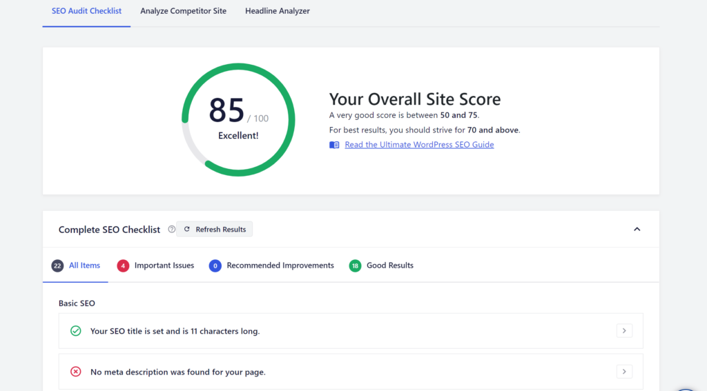 SEO-Audit in AIOSEO