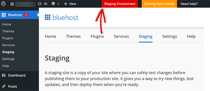 Bluehost offre un environnement de staging en 1 clic