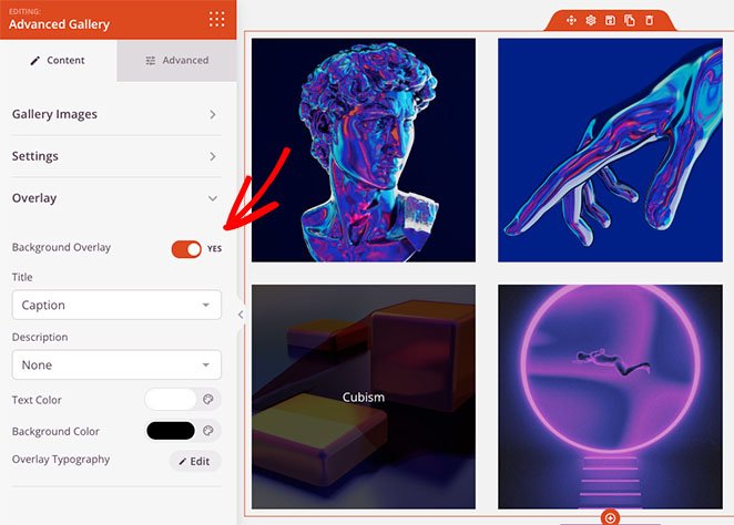 Efek hover overlay galeri