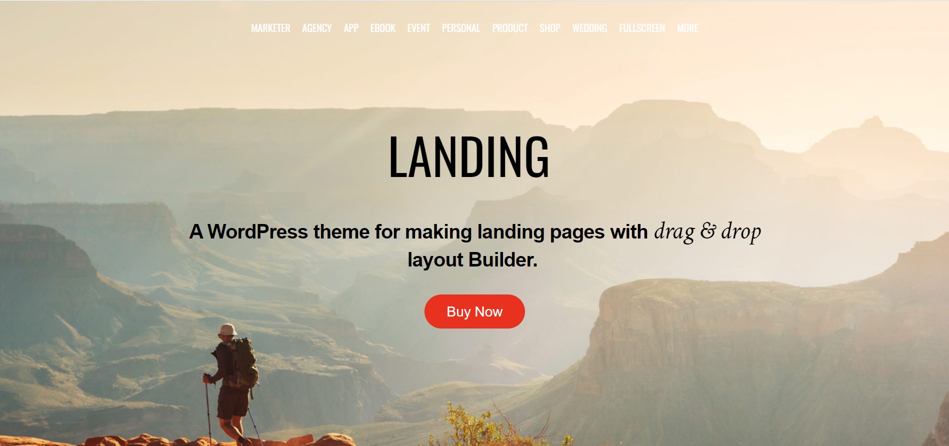 landing - lidere o minimalismo no combate da página de destino do wordpress