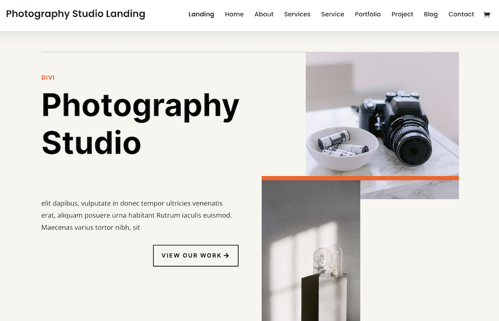 Divi WordPress 사진 테마