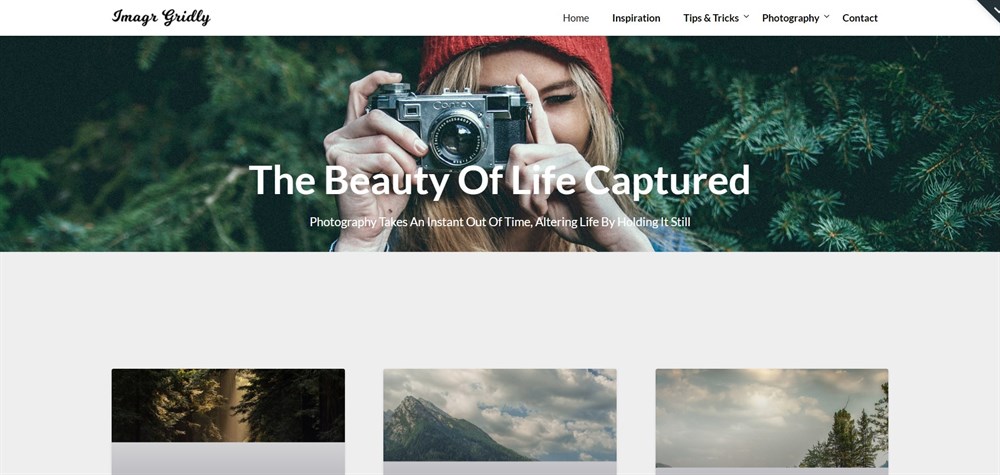 ImageGridly WordPress 테마 데모