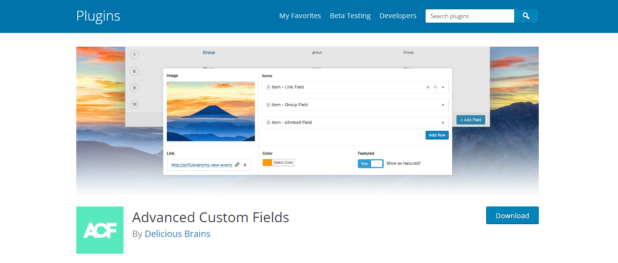 ACF - Plugin de champs personnalisés WordPress