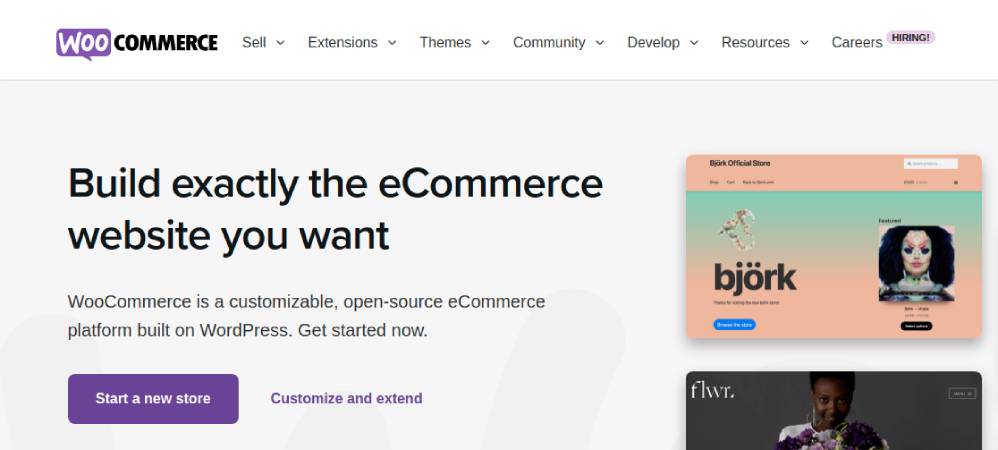 Plugin eCommerce WordPress WooCommerce