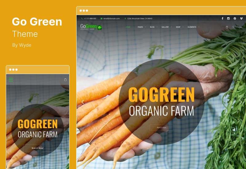 Tema GoGreen - Tema WordPress per alimenti biologici, aziende agricole e di mercato