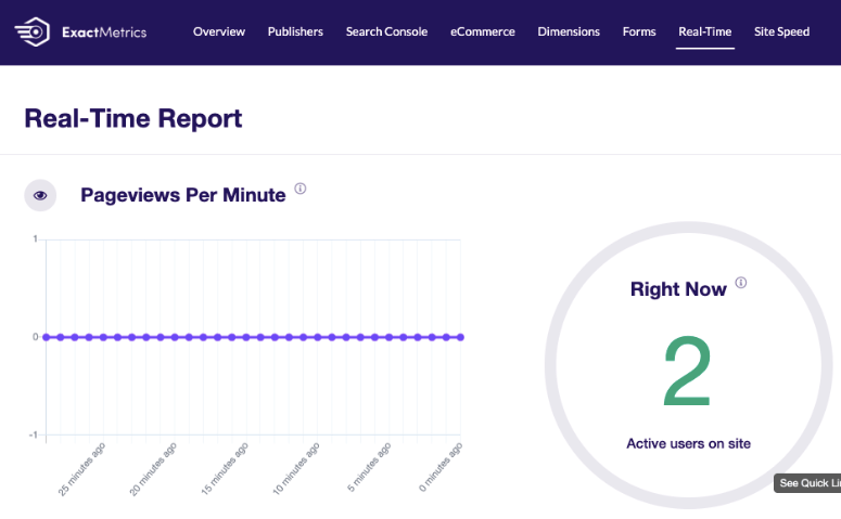 تقرير الوقت الحقيقي ExactMetrics - IsItWP - كاشف قوالب WordPress المجاني ExactMetrics realtime report