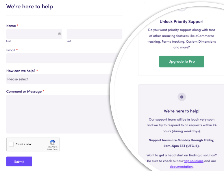 دعم المقاييس الدقيقة - IsItWP - كاشف قوالب WordPress المجاني exact metrics support