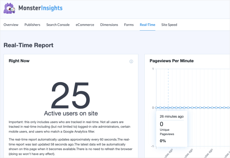 تقرير في الوقت الحقيقي في MonsterInsights - IsItWP - Free WordPress Theme Detector real time report in MonsterInsights