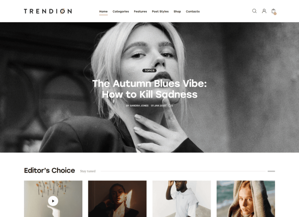 Trendion - Persönliches Lifestyle-Blog und WordPress-Thema für Zeitschriften