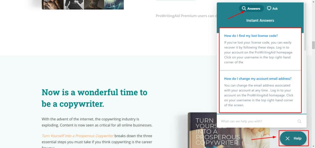 ProWritingAid 支持
