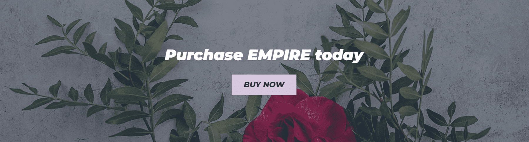 Empire Divi Niño Tema Inicio