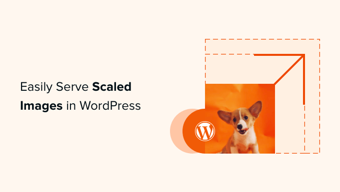 Cum să serviți cu ușurință imagini la scară în WordPress (pas cu pas)