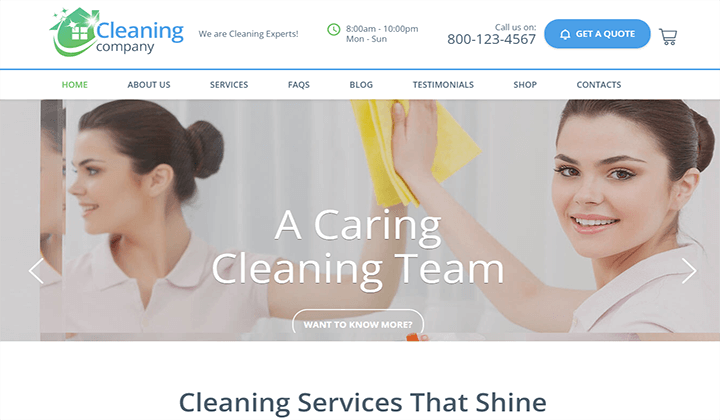 cleaning company WordPress themes
