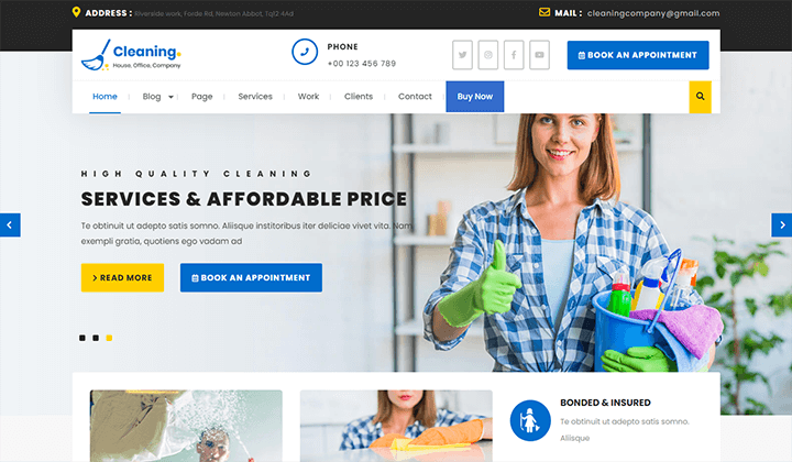 cleaning company WordPress themes