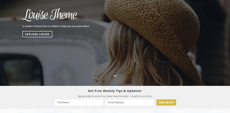 Untergeordnetes Thema des Autors Author child themes